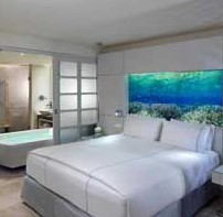 Junior Suite Nature View - King, Paradisus La Perla