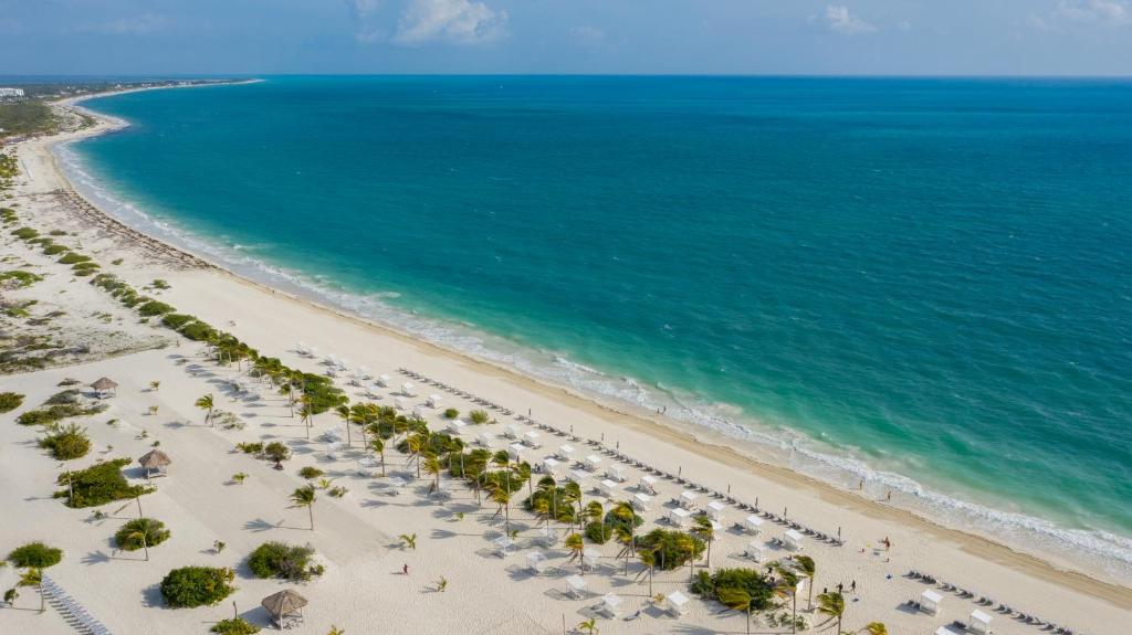 Majestic Mirage Costa Mujeres